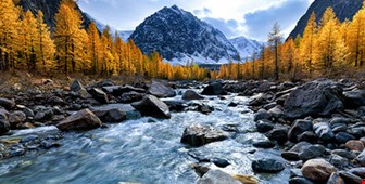 ادامه فروش فوق‌العاده نینتندو سوییچ در آمریکا